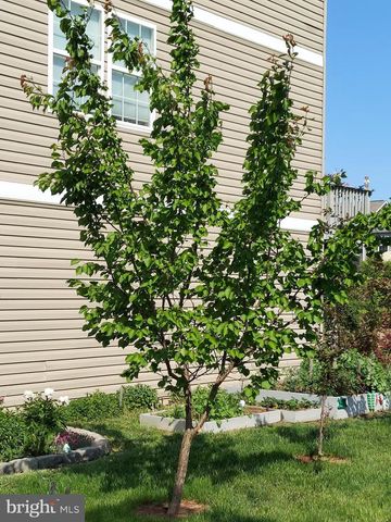 134 DREXEL CT, Martinsburg, WV 25404