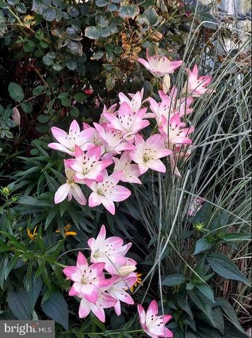 134 DREXEL CT, Martinsburg, WV 25404