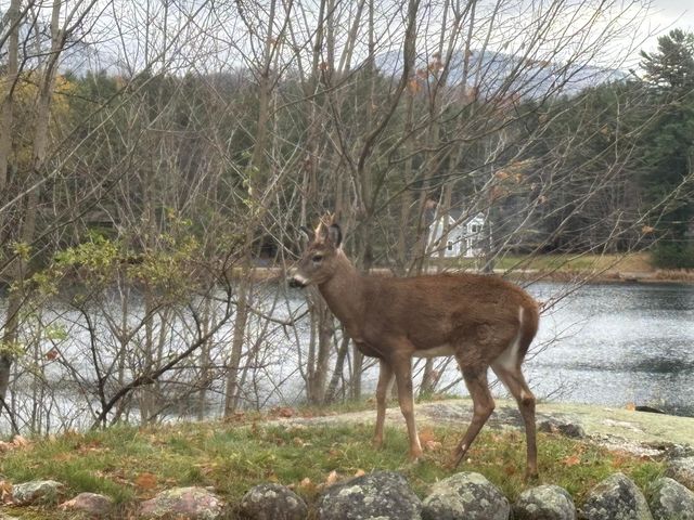 9 Ridge Way Way, Saranac Lake, NY 12983