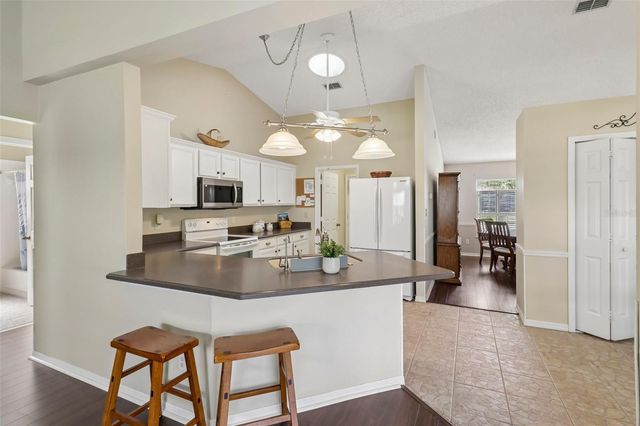 4529 PEACH TREE STREET, Leesburg, FL 34748