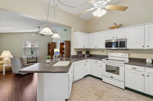 4529 PEACH TREE STREET, Leesburg, FL 34748