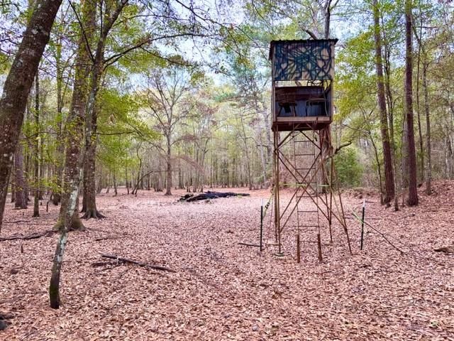 456 Cr 4364, Woodville, TX 75979