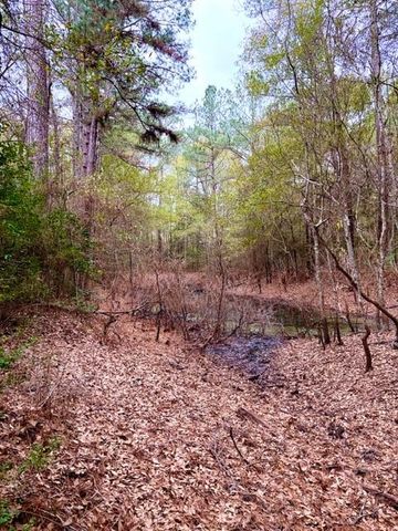 456 Cr 4364, Woodville, TX 75979