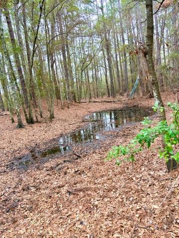 456 Cr 4364, Woodville, TX 75979