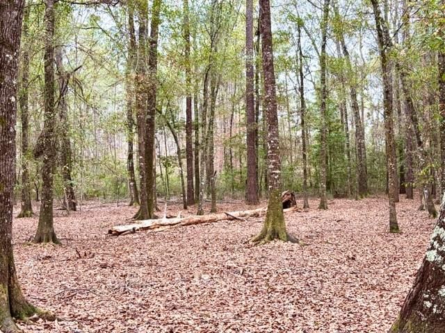 456 Cr 4364, Woodville, TX 75979