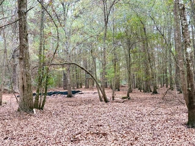 456 Cr 4364, Woodville, TX 75979