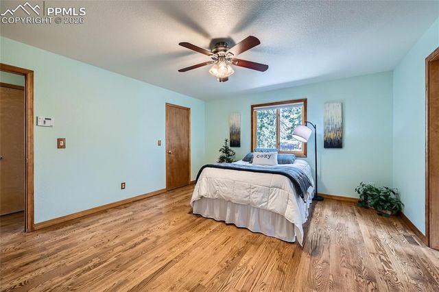 2988 Sunnywood Avenue, Woodland Park, CO 80863