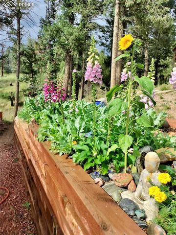 2988 Sunnywood Avenue, Woodland Park, CO 80863