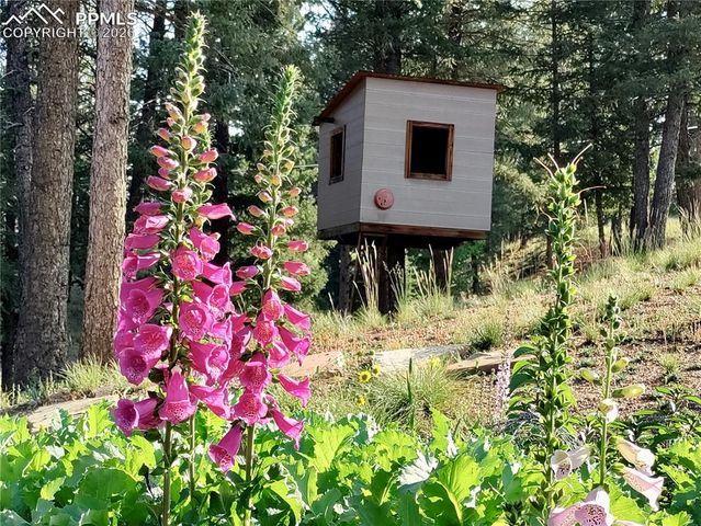 2988 Sunnywood Avenue, Woodland Park, CO 80863