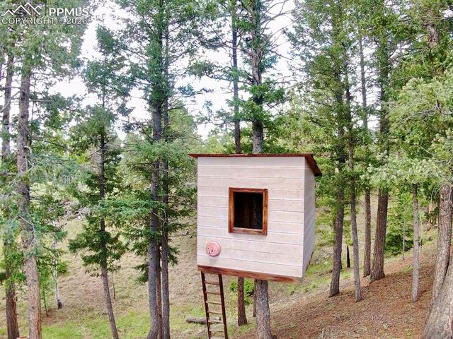 2988 Sunnywood Avenue, Woodland Park, CO 80863