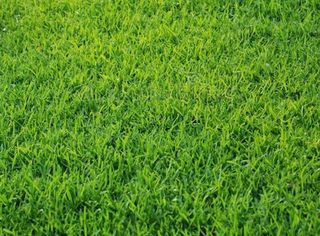 5100 Sydnie Road NW, Rochester, MN 55901