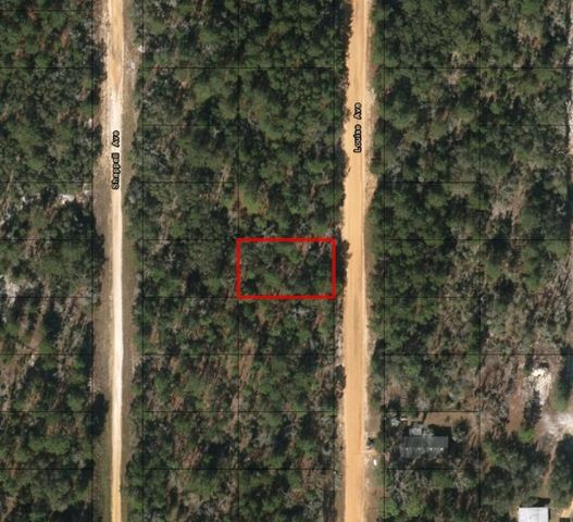 0 Louise Ave, Interlachen, FL 32148