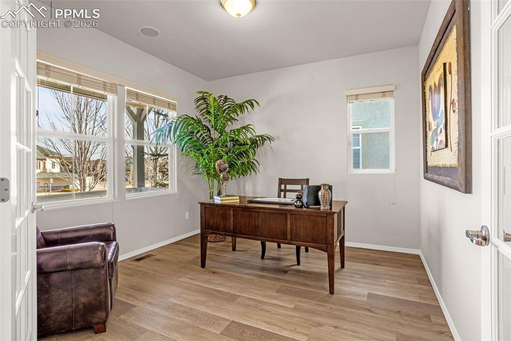 1381 Cresson Mine Drive, Colorado Springs, CO 80905 — photo 5