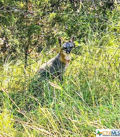 1841 Oak Meadows, Canyon Lake, TX 78133