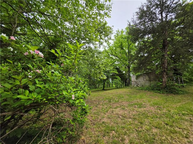 233 NC 2802, Marble Falls, AR 72648