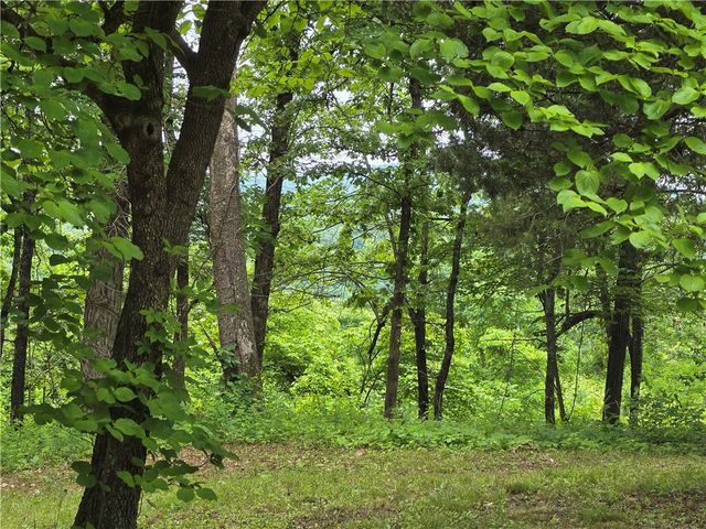 233 NC 2802, Marble Falls, AR 72648