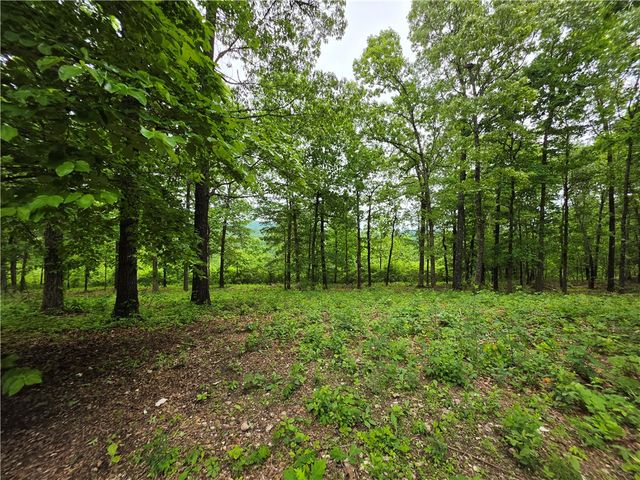 233 NC 2802, Marble Falls, AR 72648