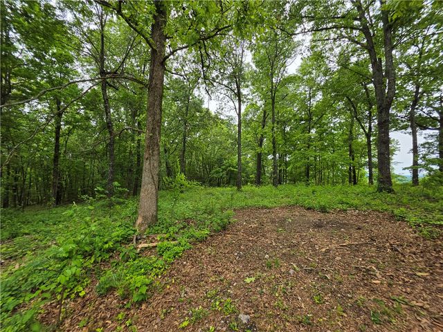 233 NC 2802, Marble Falls, AR 72648