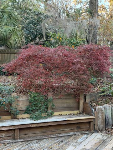 1115 Domingo Drive, Tallahassee, FL 32304