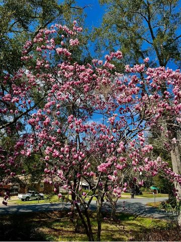 1115 Domingo Drive, Tallahassee, FL 32304