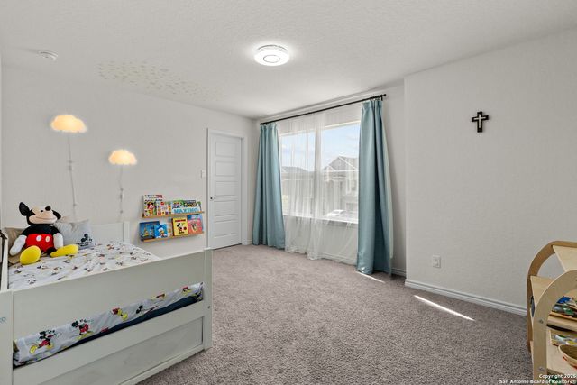 5311 Spanish Bluebells, San Antonio, TX 78261