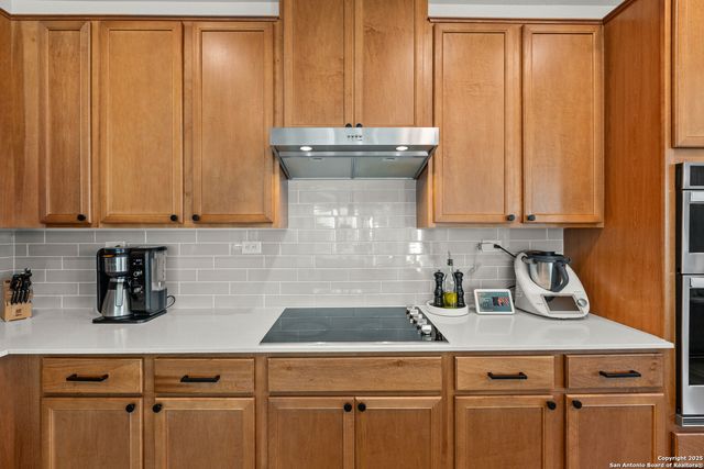 5311 Spanish Bluebells, San Antonio, TX 78261