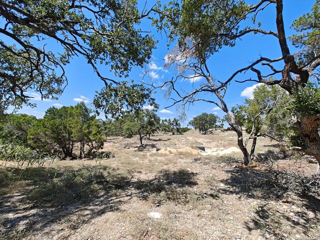 2219 HILINE DR, Bulverde, TX 78163