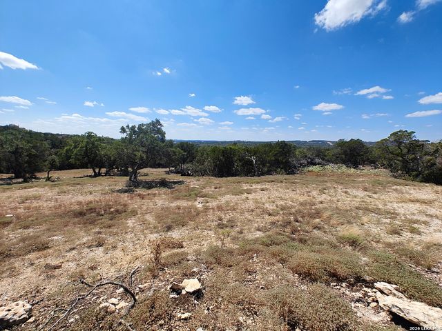 2219 HILINE DR, Bulverde, TX 78163