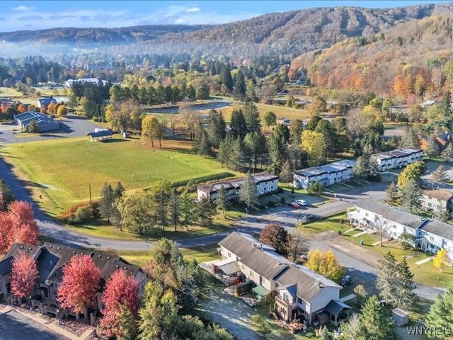 29 Pine Tree Village Road, Ellicottville, NY 14731
