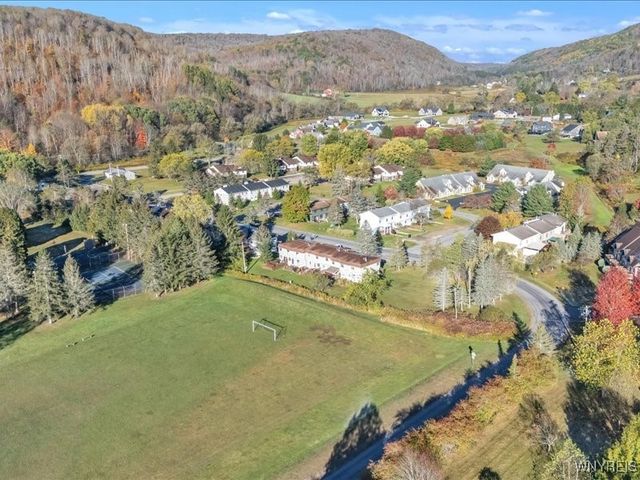 29 Pine Tree Village Road, Ellicottville, NY 14731