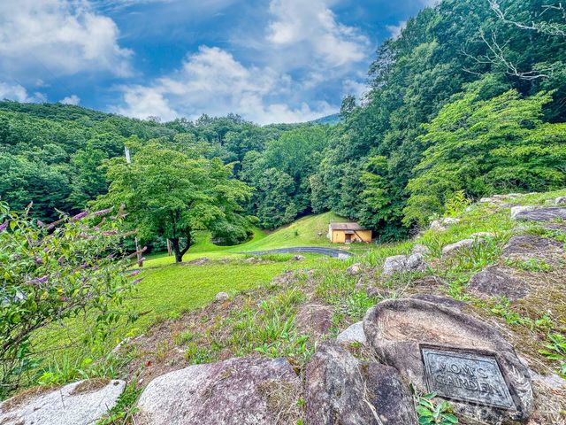 82 Trout Haven Lane, Balsam Grove, NC 28708