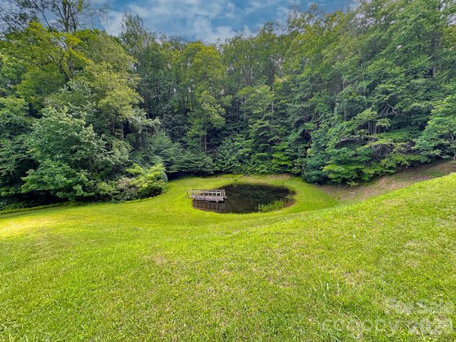 82 Trout Haven Lane, Balsam Grove, NC 28708