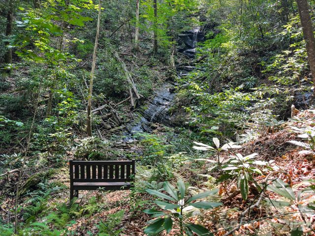 82 Trout Haven Lane, Balsam Grove, NC 28708