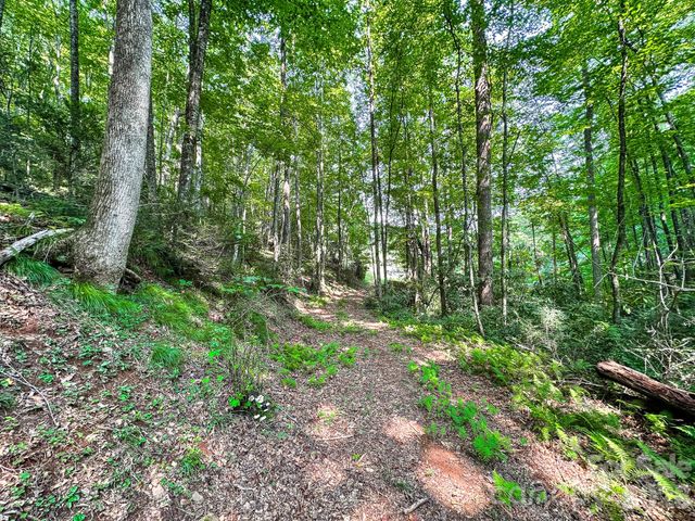 82 Trout Haven Lane, Balsam Grove, NC 28708