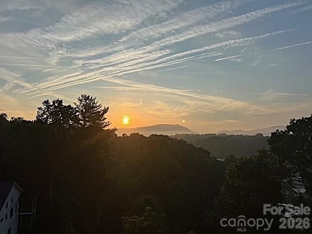 80 Caledonia Road, Asheville, NC 28803