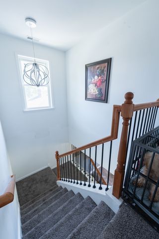 8421 S SCOTTSDALE Avenue, Chicago, IL 60652