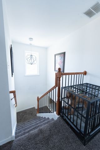 8421 S SCOTTSDALE Avenue, Chicago, IL 60652