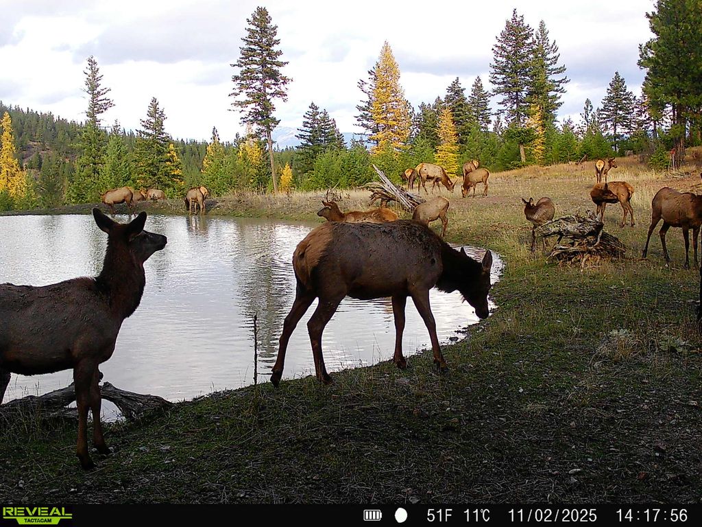 51 Livin Way, Plains, MT 59859 photo 105