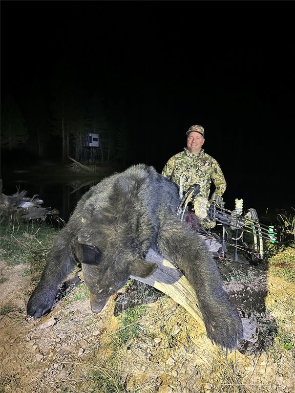 51 Livin Way, Plains, MT 59859 photo 106