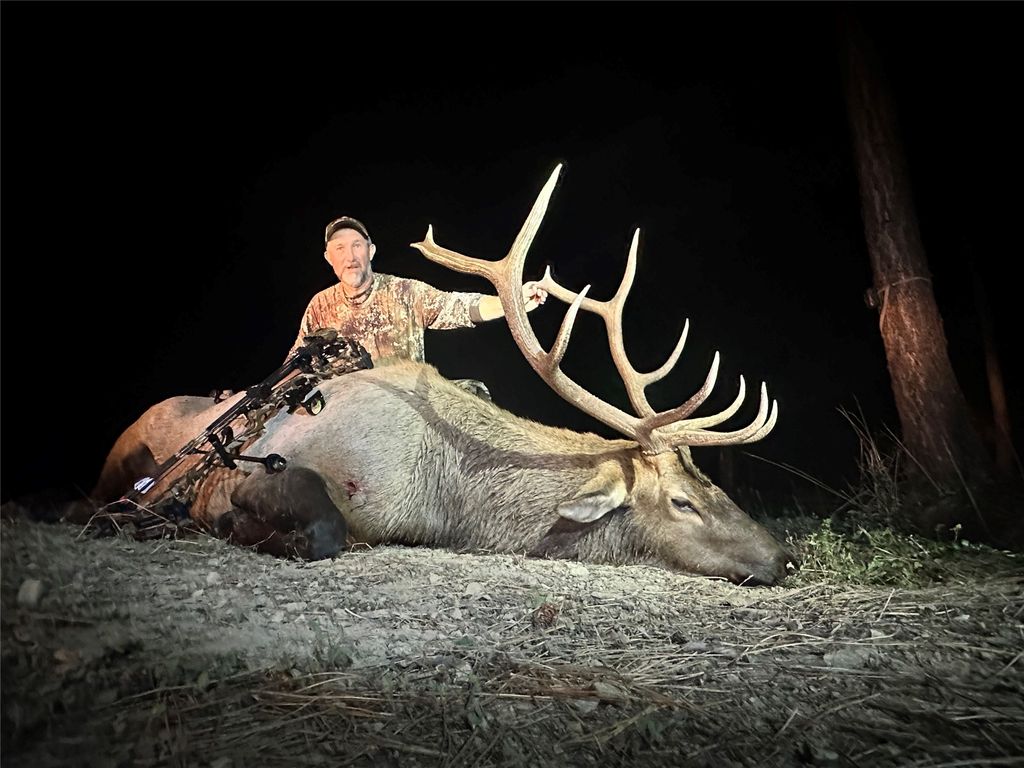 51 Livin Way, Plains, MT 59859 photo 108