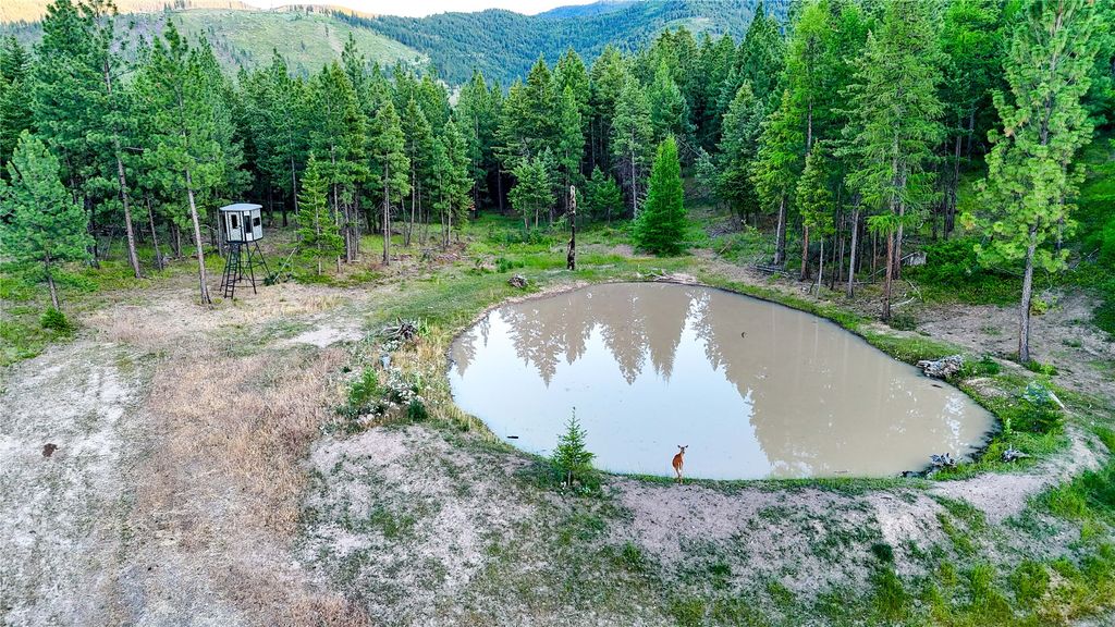 Image 6 of property listing at 51 Livin Way, Plains, MT 59859