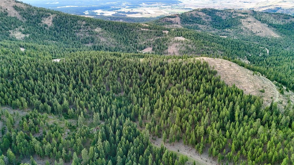 Image 83 of property listing at 51 Livin Way, Plains, MT 59859