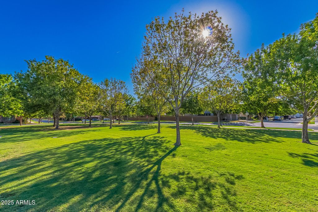 Image 51 of property listing at 4246 E COTTON Court, Gilbert, AZ 85234