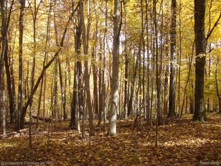 1451 Barrwood Trail, Oxford Village, MI 48371