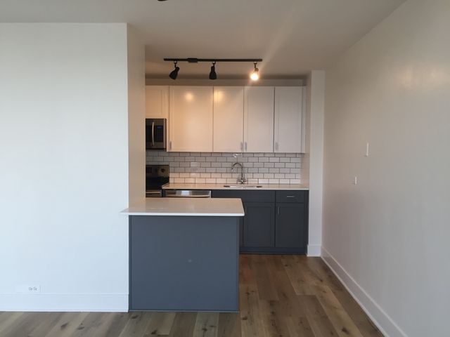 4250 N Marine Drive 2406, Chicago, IL 60613