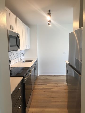 4250 N Marine Drive 2406, Chicago, IL 60613
