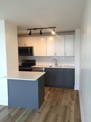 4250 N Marine Drive 2406, Chicago, IL 60613
