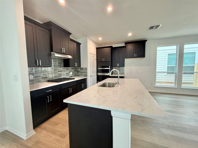 389 Young ST, Buda, TX 78610