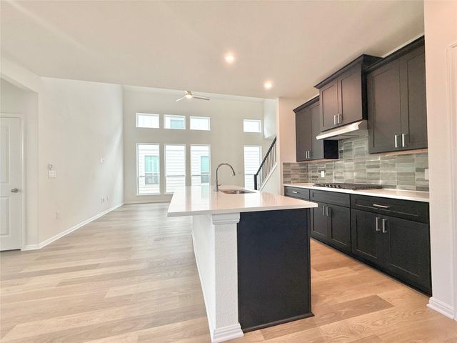 389 Young ST, Buda, TX 78610
