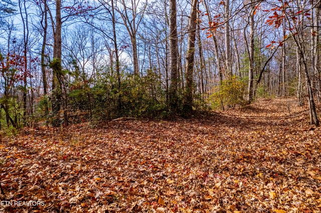 Lot 2 Tatem Marr Way, Sevierville, TN 37876